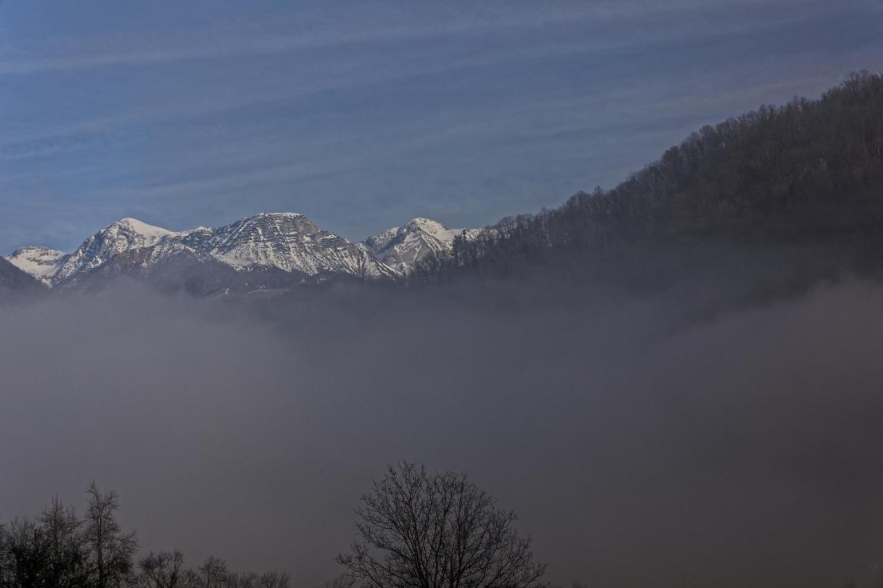 Hisa Lenart Apartment Tolmin Exterior foto